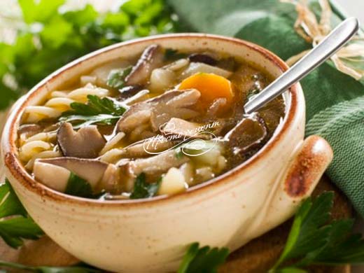 Суп из грибов подберезовиков - пошаговый рецепт с фото на irhidey.ru