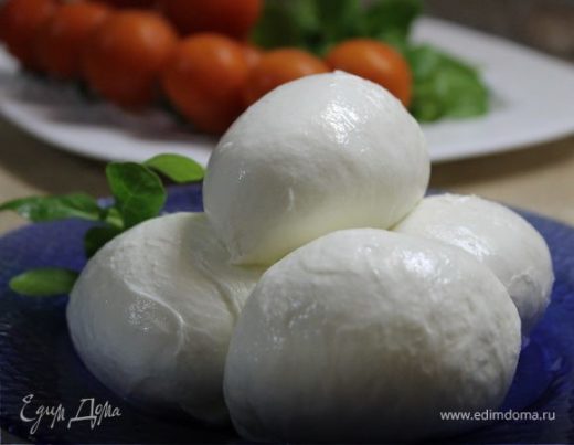 Сыр моцарелла (Mozzarella)